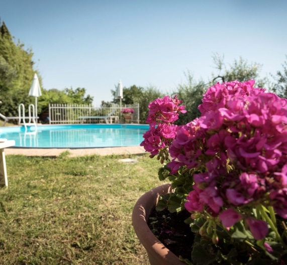 casa-gelsomino-garden-pool-chairs-relax-holiday-house-palaia-toscana