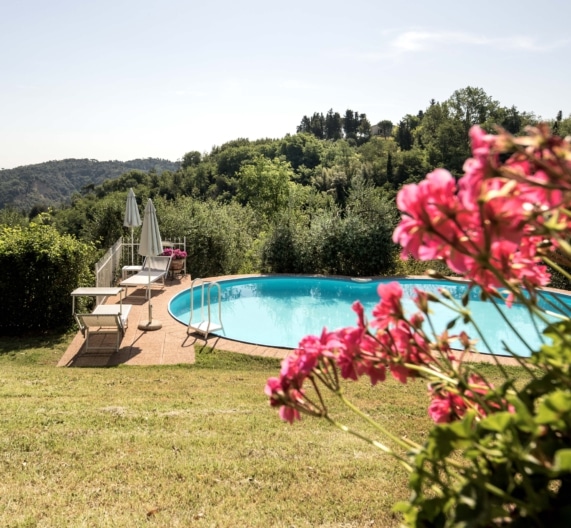 casa-gelsomino-pool-holiday-house-palaia-tuscany