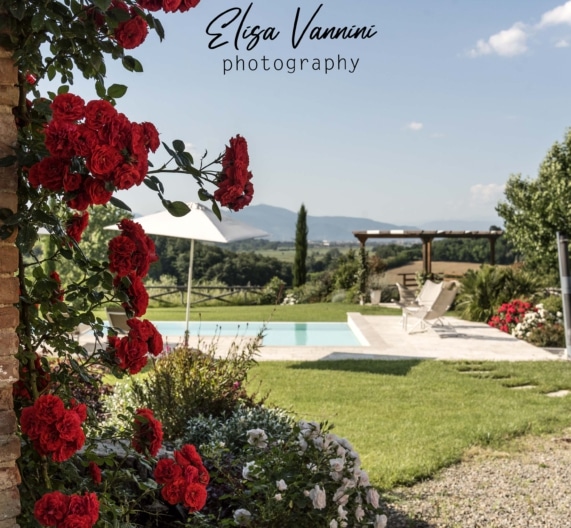 garden-flowers-big-space-holiday-house-terricciola-tuscany