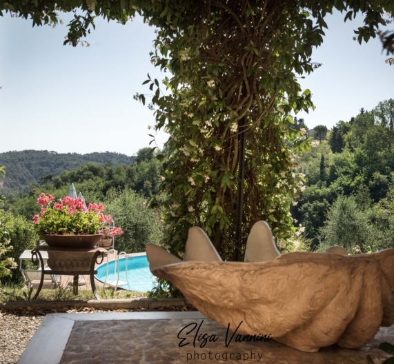 gelsomino-pool-garden-privacy-holiday-house-palaia-tuscany