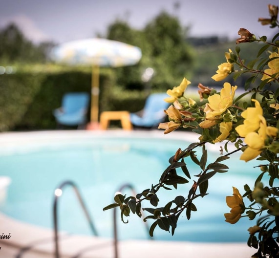 pool-holiday-house-terricciola-tuscany (2)