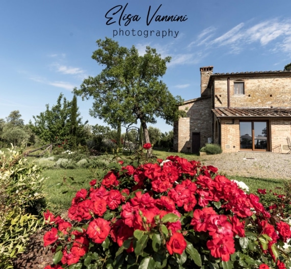 private-garden-flowers-holiday-house-terricciola-tuscany