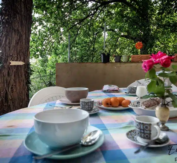 space-outside-table-food-holiday-house-morrona-terricciola-tuscany