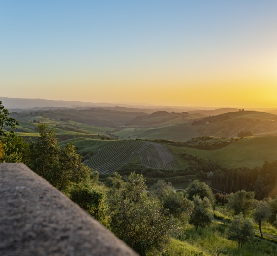 view-garden-sunset-holidays-house-castelfalfi-toscana - Copia